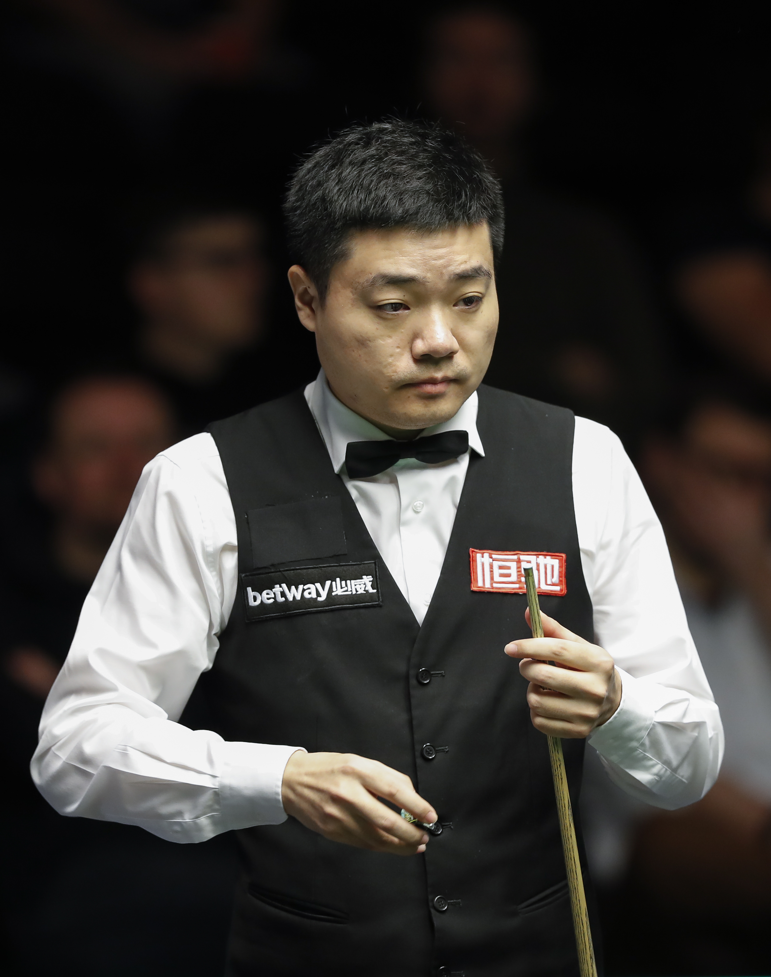 霍芬海姆在 霍芬海姆在