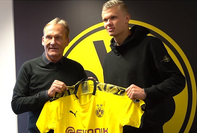 用脚投票 用脚投票